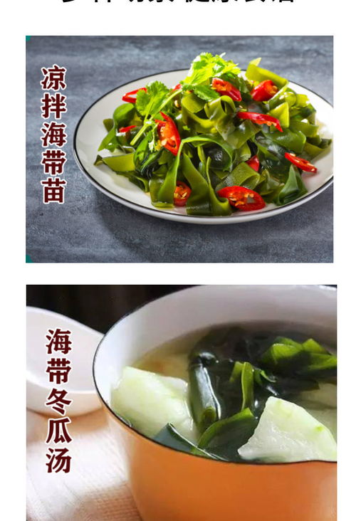 霞浦壓縮海帶苗圓餅 無沙免洗即食，特級脆嫩海味干貨批發首選