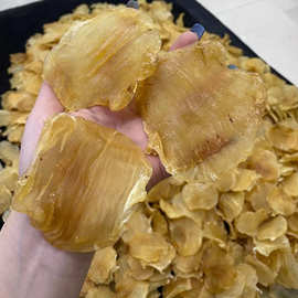 深海臻品，滋補圣味 嘴鳘魚膠與紅雞赤的味蕾饕宴